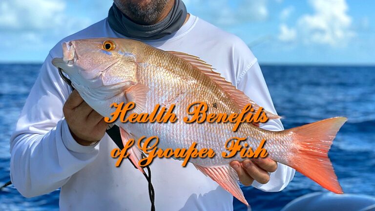 Health Benefits of Grouper Fish